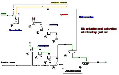 Bio-oxidation and extraction of refractory gold ore